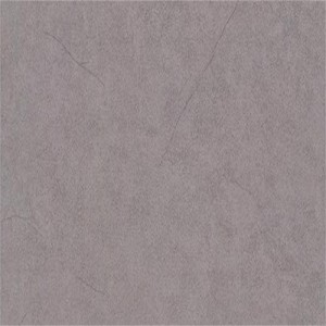 Gạch lát sàn Trường Thịnh COOLSTONE C6215